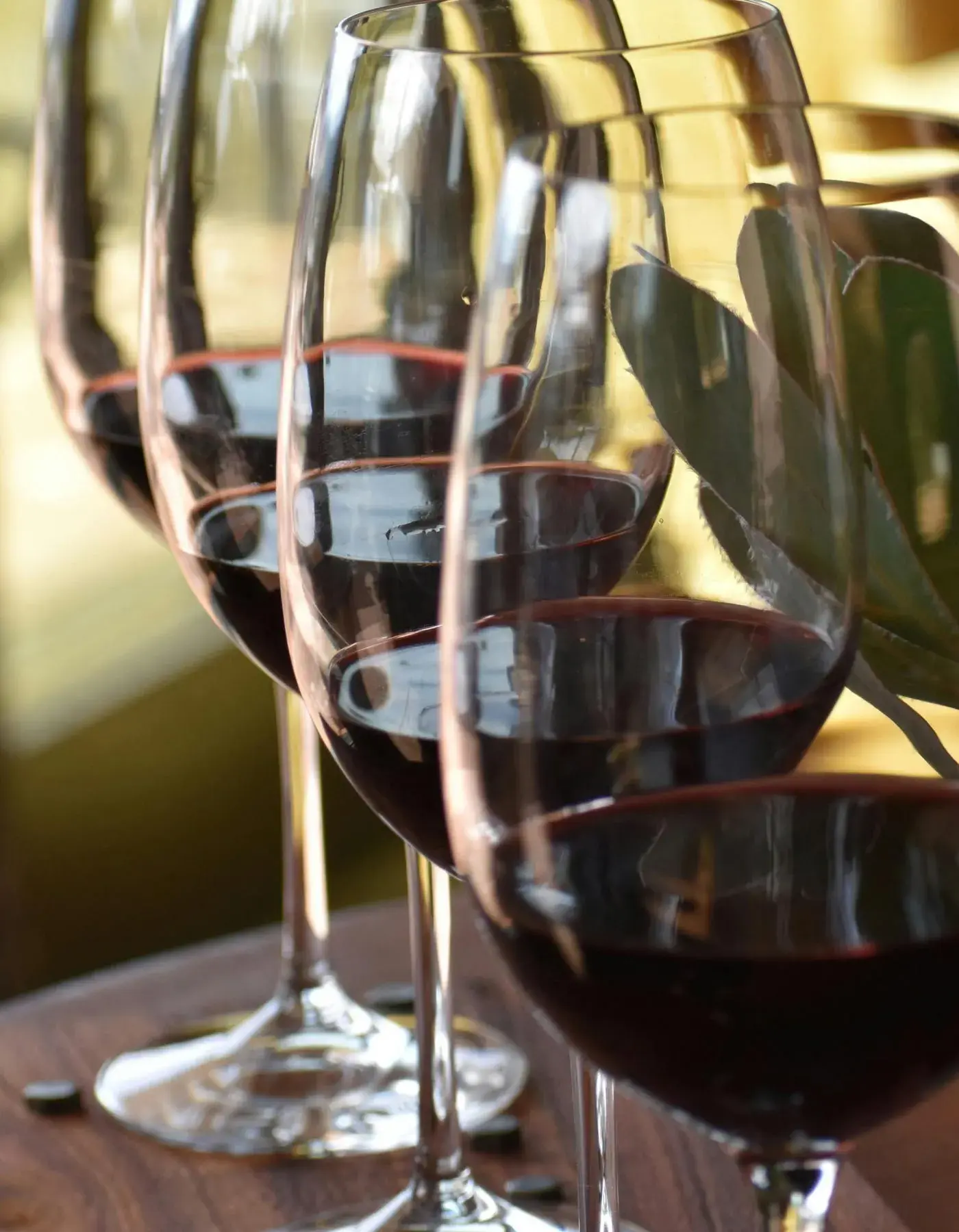 Your journey, your way