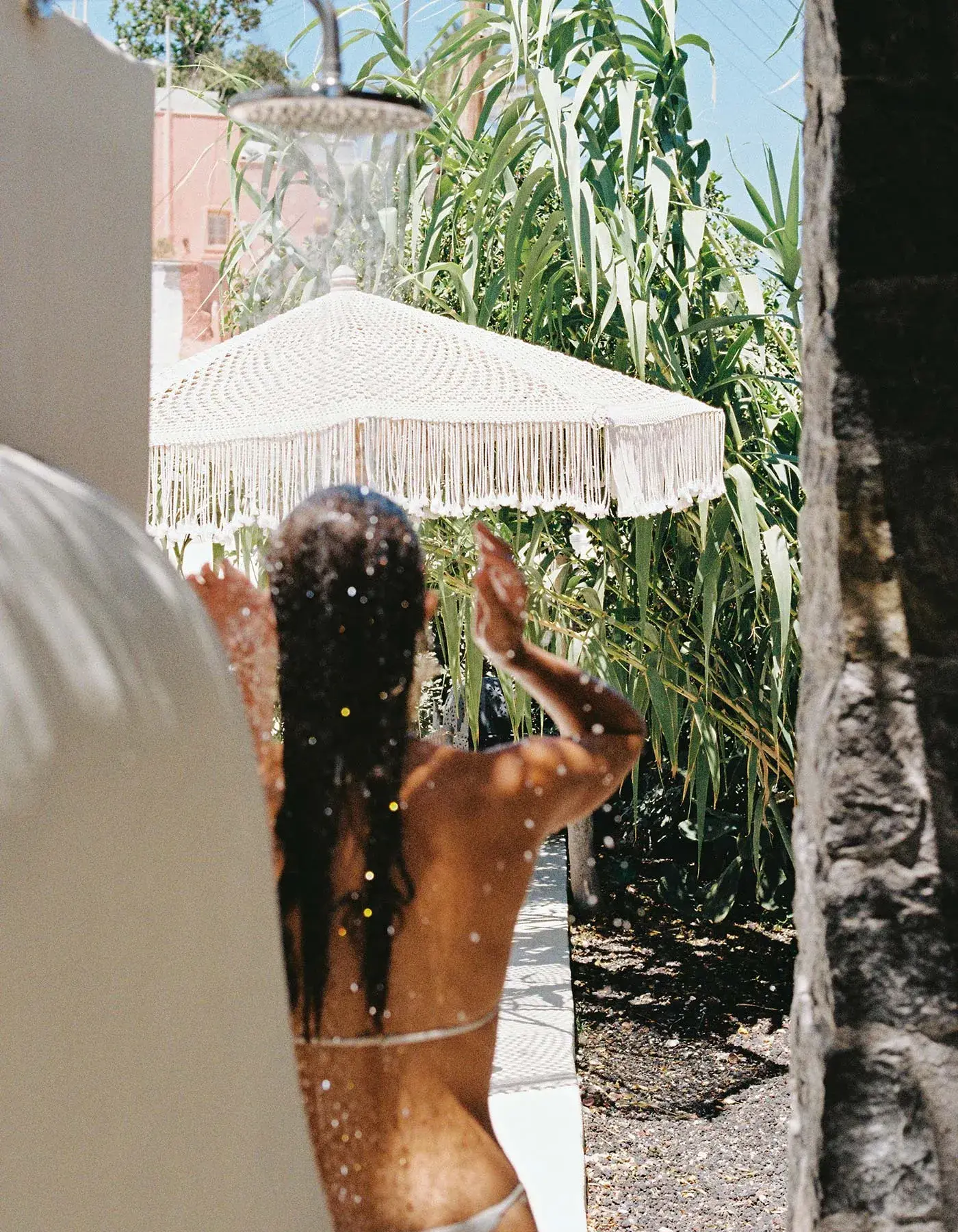 Born from the love of life